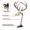 Allen Co EZ Mount Centerpiece Skull Stand, Brown 7226 - alternate 5